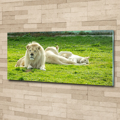Acrylglas-Bild Wandbilder Druck 125x50 Deko Tiere Beige Löwen