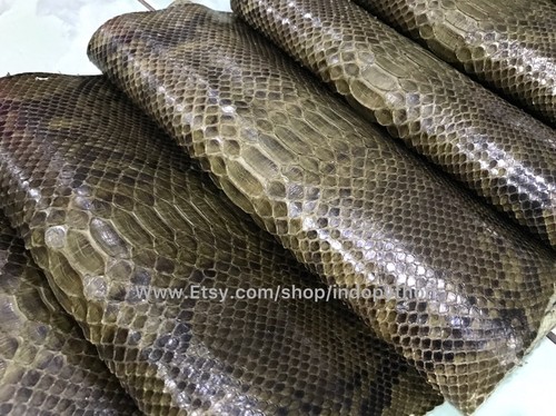 Genuine Python Leather, Exotic Snake Skin, Green SnakeSkin, Green Python Leather - Picture 2 of 8