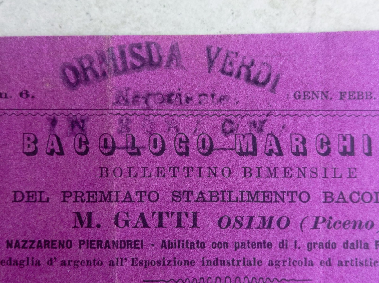 Il bacologo marchigiano Osimo Ormisda Verdi Soragna 1905 parente Giuseppe Verdi