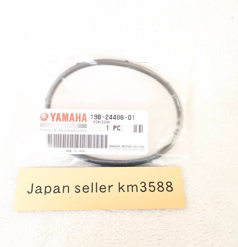 Yamaha Genuine 2002-2006 YZF-R1 YZFR1 YZF R1 Fuel Pump Assembly 5PW-13907-05 NEW - Picture 13 of 15