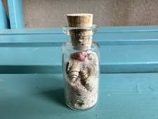 Vintage Miniature Clear Bottle FULL Colored SEA Shells 2 5