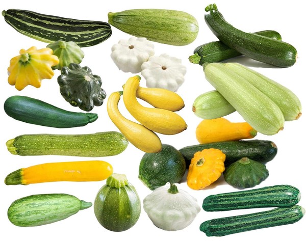 20 Semillas Calabacin Mix