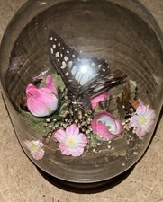 Vintage 1970s Butterfly in Glass Dome Display