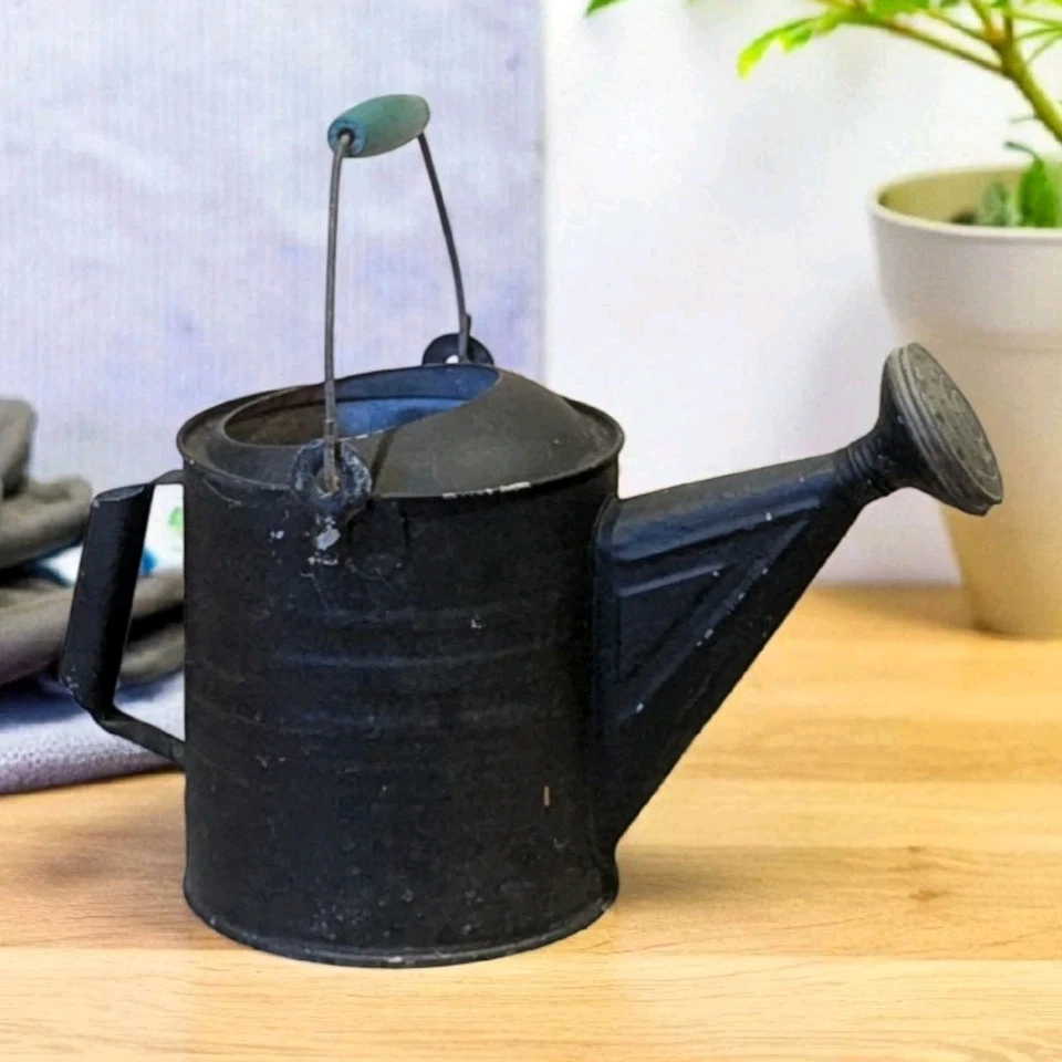 Galvanized Garden Watering Can Sprinkler Head Black Chippy 16" Green Wood Handle - Image 2 of 4