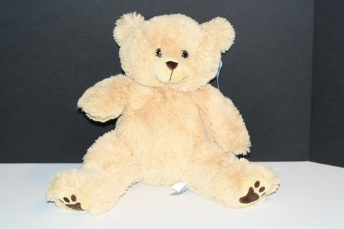 Personal Recordable Plush 38cm Talking Teddy Bear