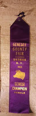 Vintage 1935 Genesee County Fair Batavia NY Senior Champion Female Award Ribbon