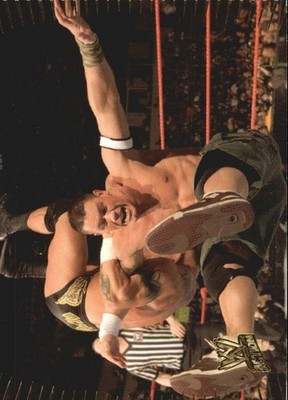 B7318- 2007 Topps WWE Action Wrestling Karten 1-90 - Sie Wählen