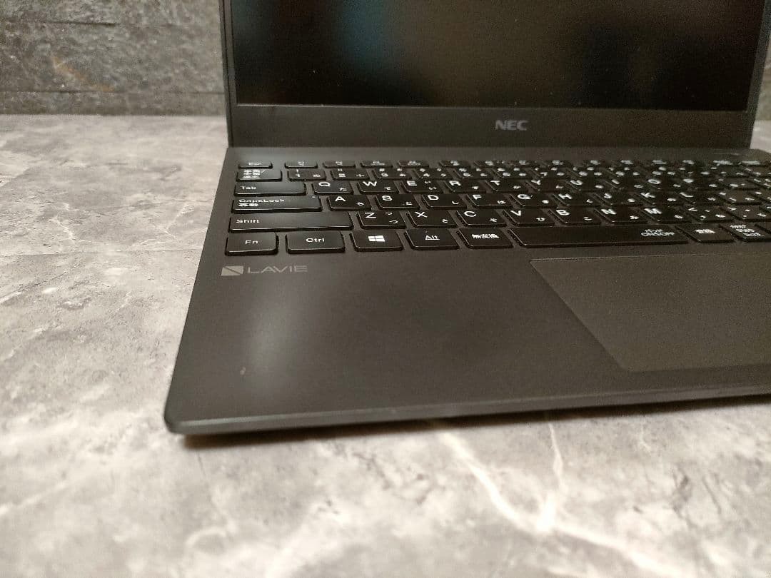 Ultra-Light NEC LAVIE Direct PM i5-10210U SSD 256GB 8GB 13.3