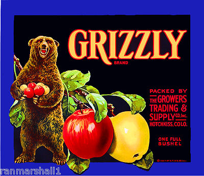 Hotchkiss Colorado Grizzly Bear Blue Version Apple Fruit Crate Label Art Print