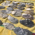 Lot of 28 Polished Atlantic Oyster Shells  3.75 To 5.25 Inch Long Craft Art — photo 4