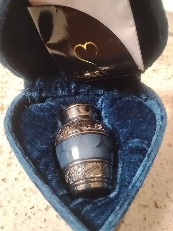 Cherishedly Yours Small Keepsake Urn for Human Ashes with Velvet Heart Case and