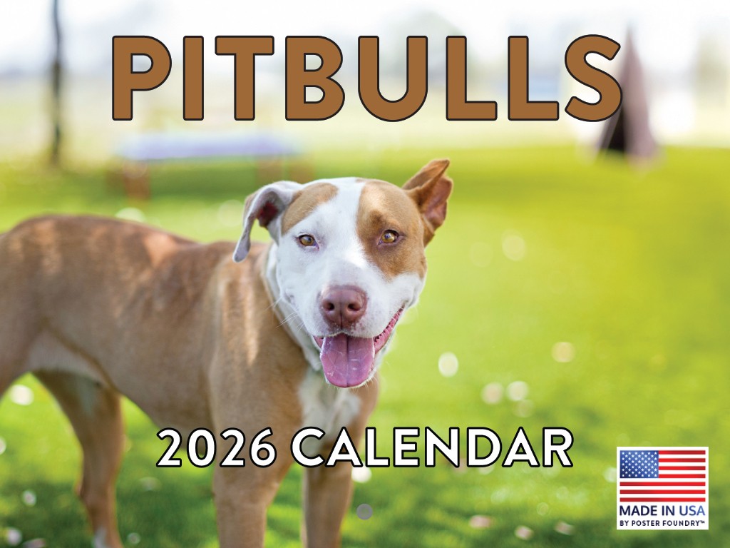 Pitbull Calendar 2026 Pit Bull Monthly Wall Calender 12 Month 12x18