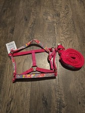 horse halter and lead rope