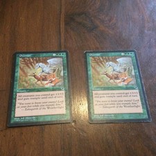 2 x overrun magic the gathering collectable card game MTG