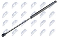 NTY AE-CT-031 Gasfeder, Kofferraum-/Laderaum FüR CitroËN