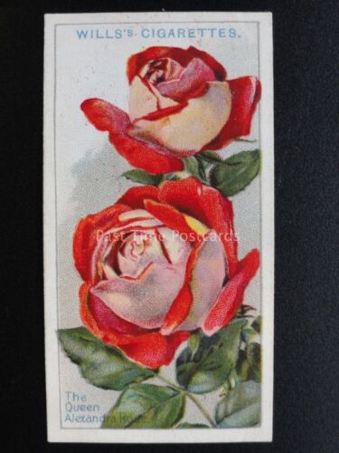 No.48 THE QUEEN ALEXANDRA ROSE - ROSES - W.D.& H.O.Wills 1926 - 第 1/1 張圖片