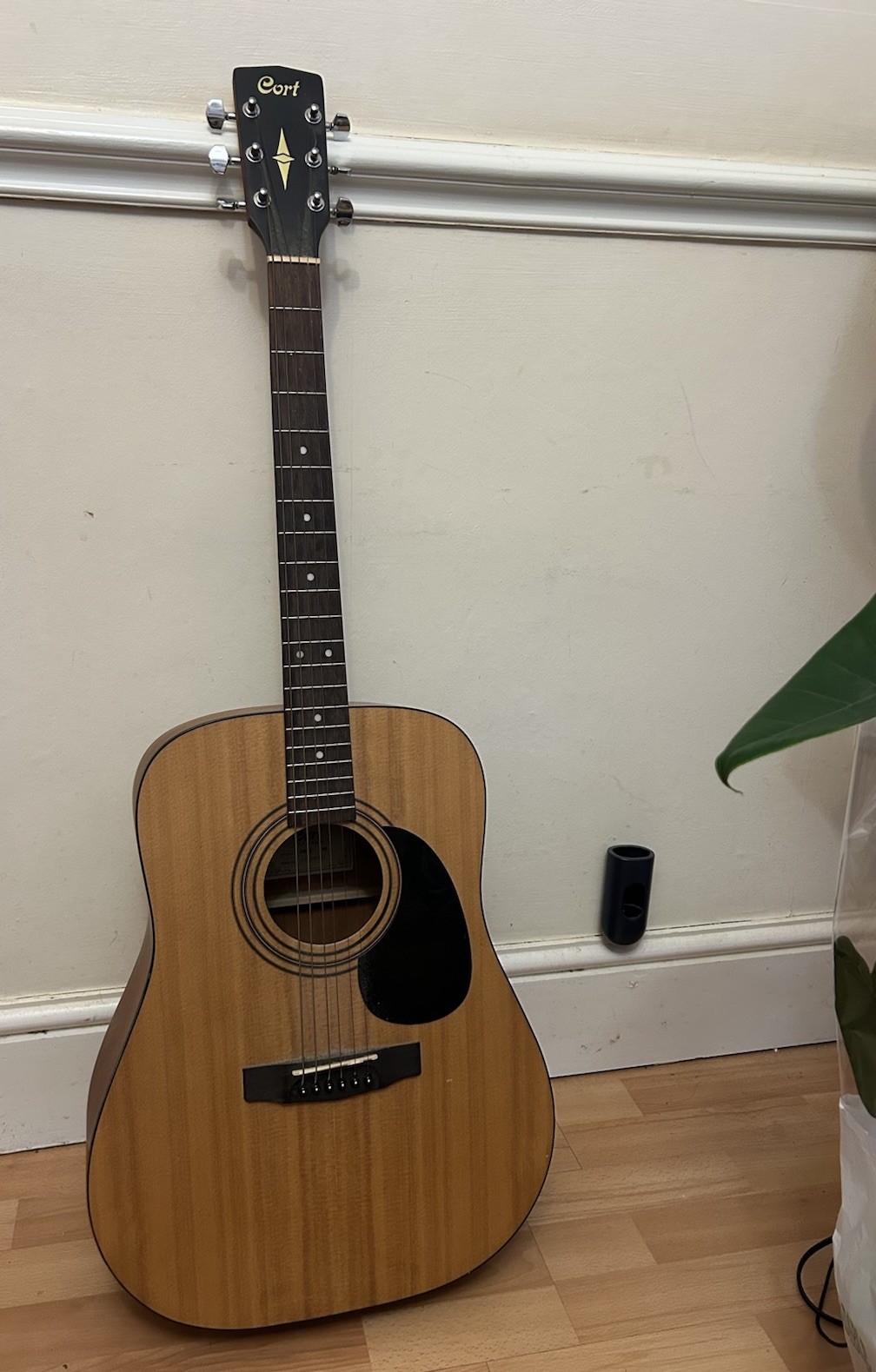 Cort AD810 / Earth Series Dreadnought Acoustic Guitar
