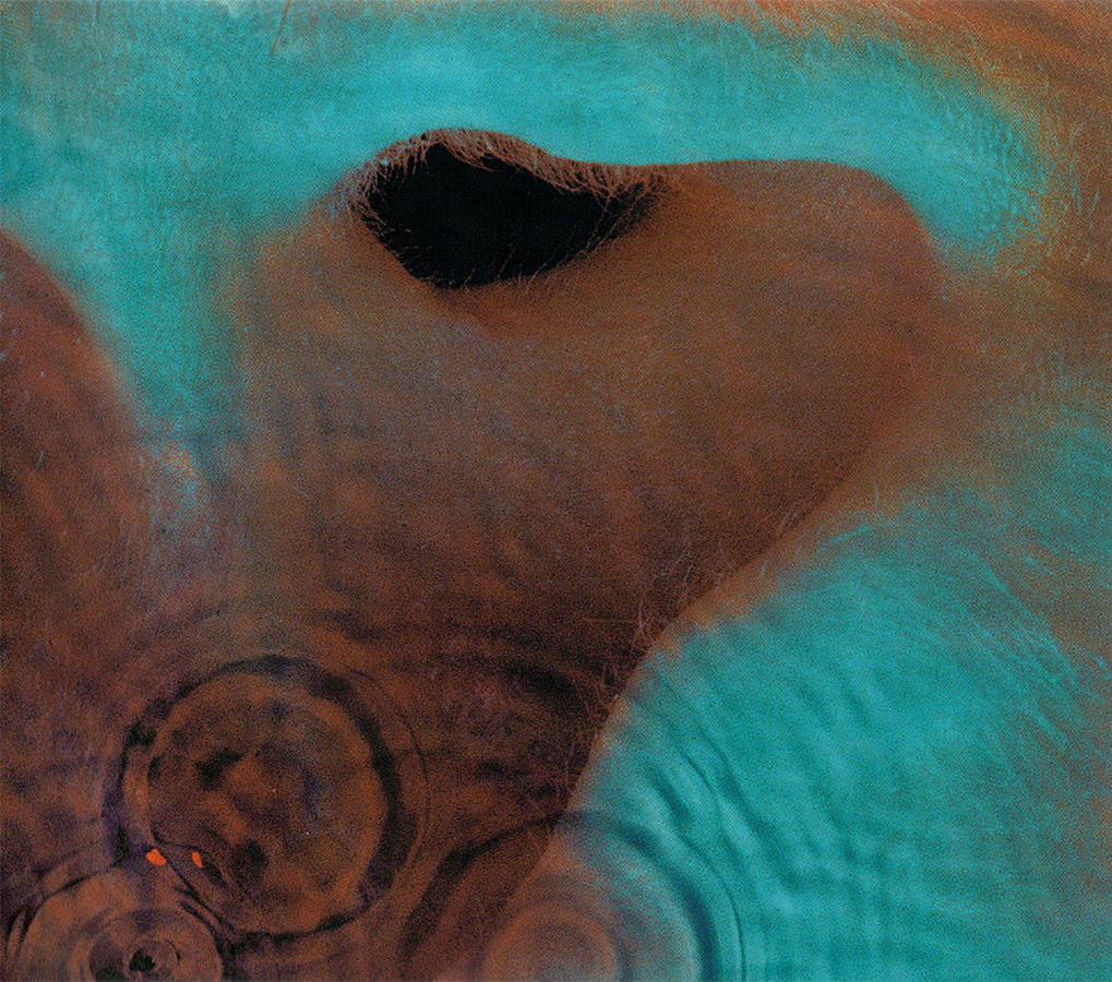Pink Floyd ~ Meddle (1971) CD 2016 Pink Floyd Records •• NEW •• | eBay