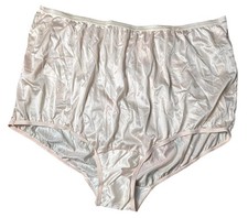 Vintage Vanity Fair Sheer Glossy Nylon Panties Size 11 5X Brief Granny Silky