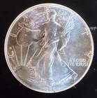 1986 American Eagle Toned Walking Liberty Bullion Vtg-0.999 Silver 1 Oz Coin 1c