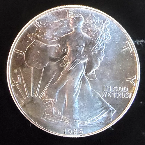 1986 American Eagle Toned Walking Liberty Bullion Vtg-0.999 Silver 1 Oz Coin 1c