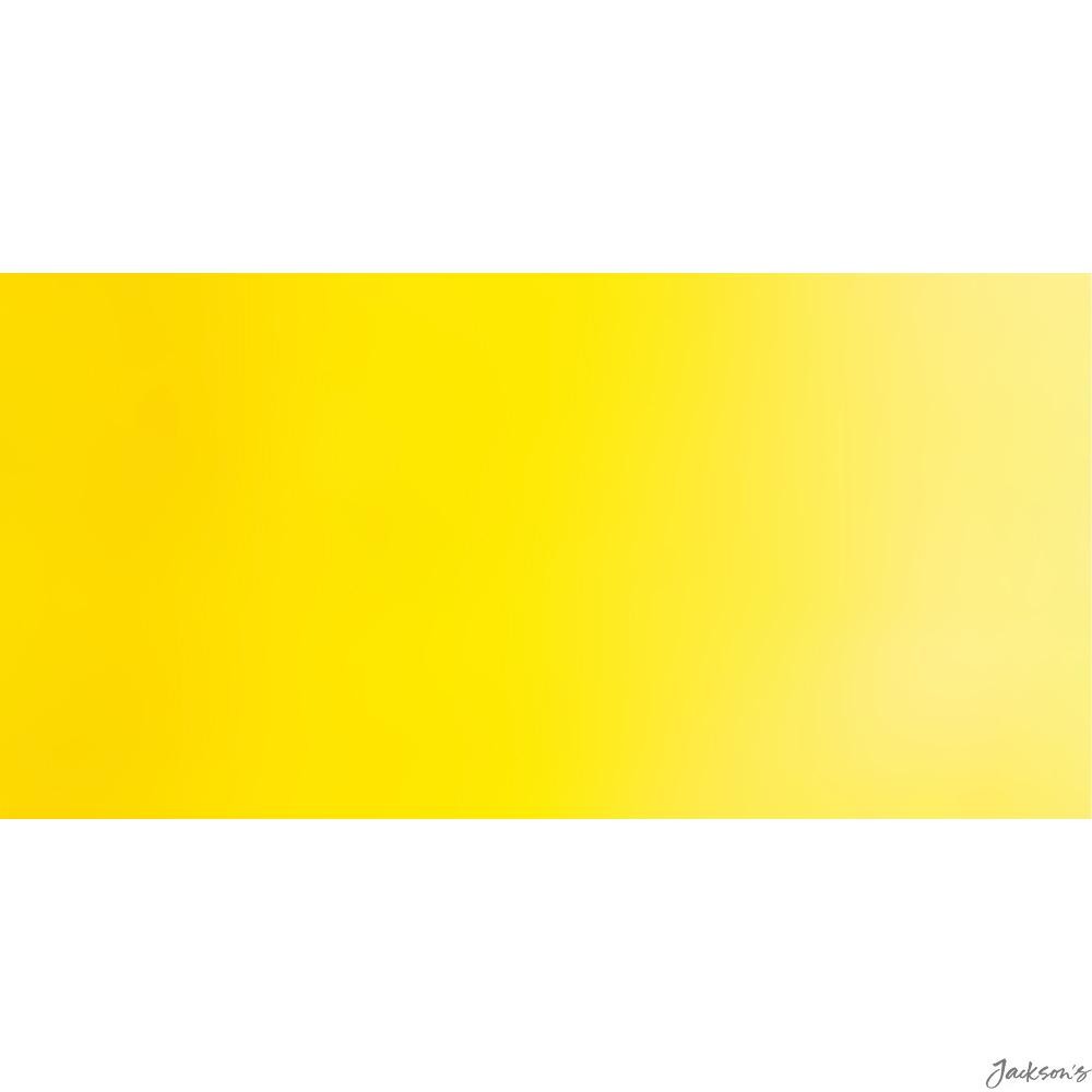 Sennelier Rive Gauche Oil Paint Cadmium Yellow Light Hue 40ml For Artists