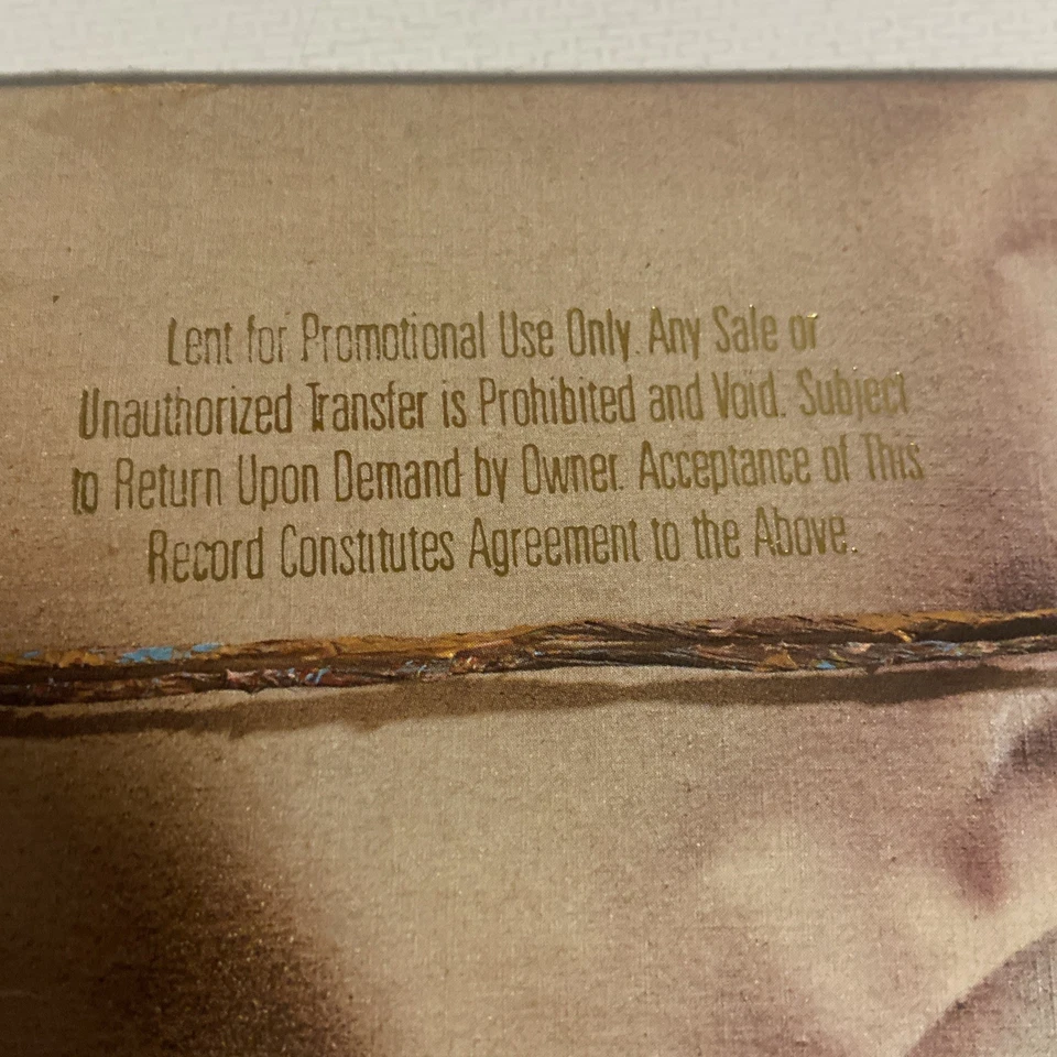 Vintage Vinyl Chicago 17 Promo Limited Edition Pressing - Image 3 of 4