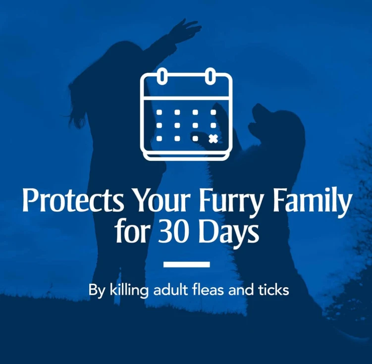 Medicamento para el control de pulgas y garrapatas para perros XL 89 - 132 libras... Foto 3 de 4