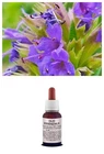 100% Pure YSSOPO Essential Oil Natural Food Use / Cosmetic AROMATHERAPY