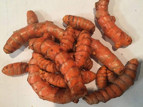 RAÍZ TUMÉRICA CRUDA ENTERA Orgánica 100% Natural Orgánica Cúrcuma Especias Caseras Nuevo - Imagen 6 de 13
