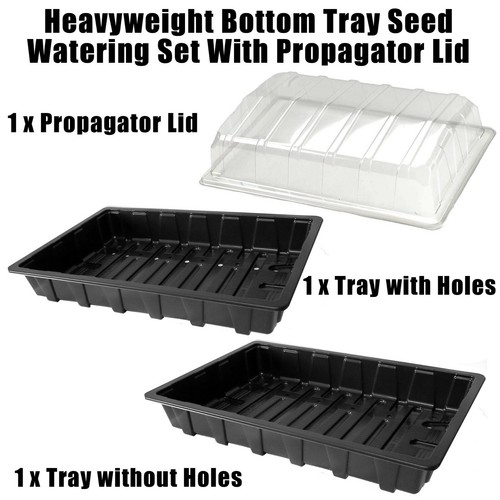 Microgreens Shallow Seed Tray Kit with Lid Bottom Watering Seed Trays