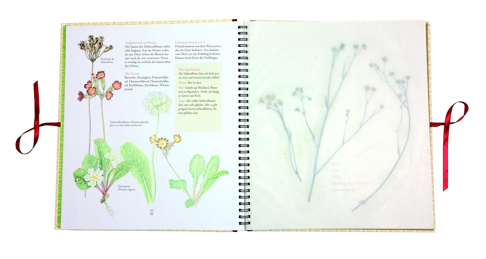 Thumbnail - Auf Der Hummelwiese - Das Große Herbarium, Stefan Casta