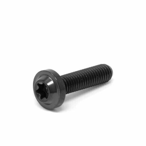 2x M5 x 40mm Titanium Ti Thomson Seat post bolts. Bolt, barrel Nut