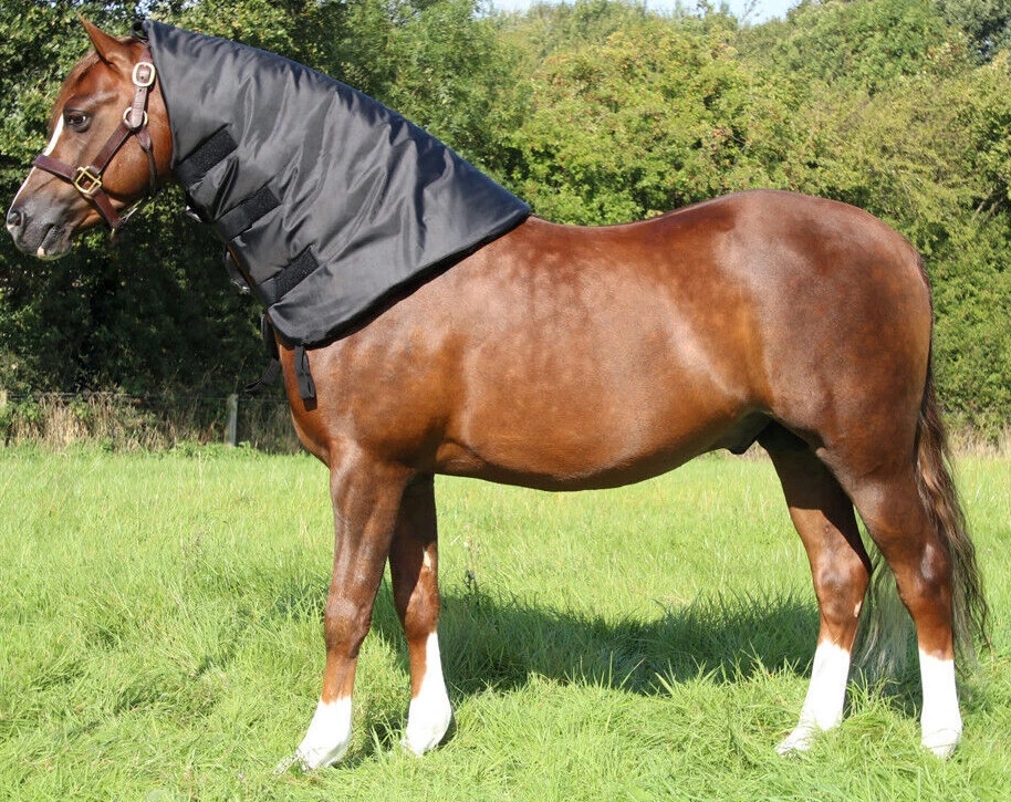 Supreme Products Cappuccio Termico Collo Sudore Per Prevenire Grassi Duri Colli Cresti