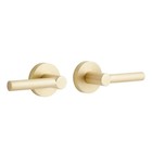 SIGNATURE HARDWARE EWING PRIACY SET ROUND ROSETTE ROUND ROD LEVER HANDLE BRASS