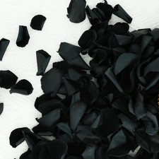 200Pcs Dried Real Black Rose Petals, Preserved Flower Petals 1.75oz for Gifts We