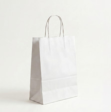 Kraft Paper Bags With Twisted Handle Paper Carrier Bag for Retail Shops-All Size