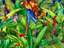 Parrot Tile Backsplash Daniels Tropical Art Ceramic Mural RD008