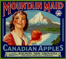 Mountain Maid Brand Apple Crate Label - Salmon Arm Growers - B.C. Canada