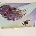 Bild 7 von 21