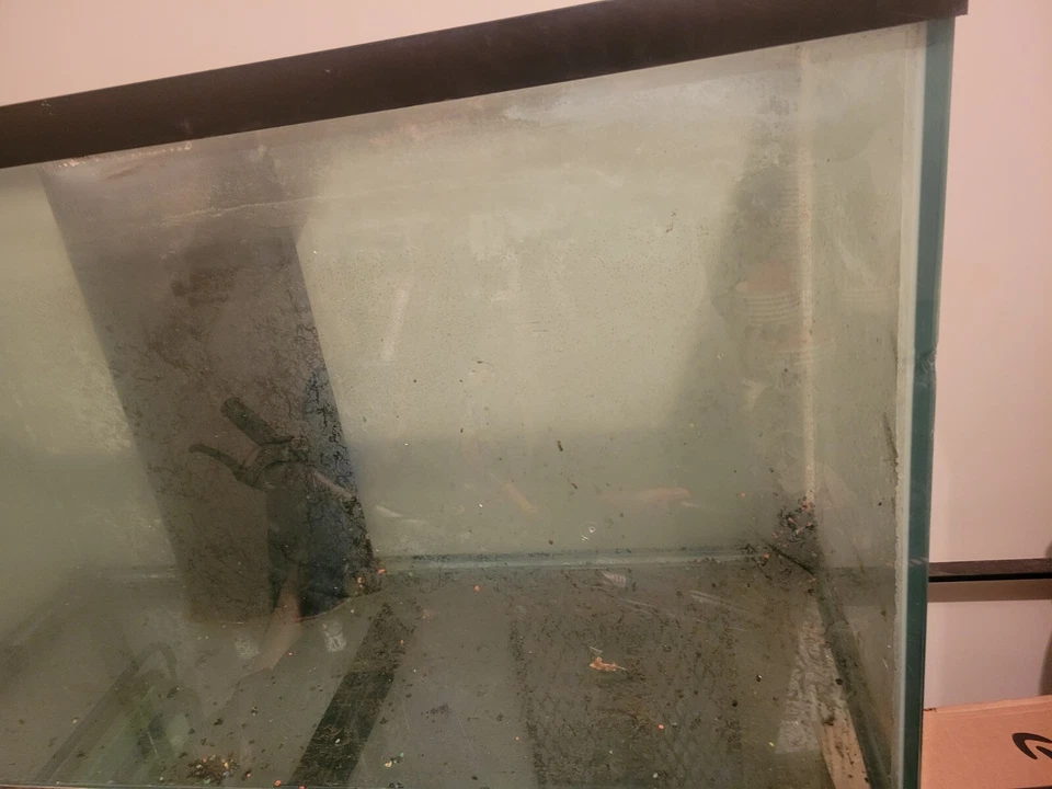 Acuario listo para arrecifes de 110 galones  Foto 2 de 4