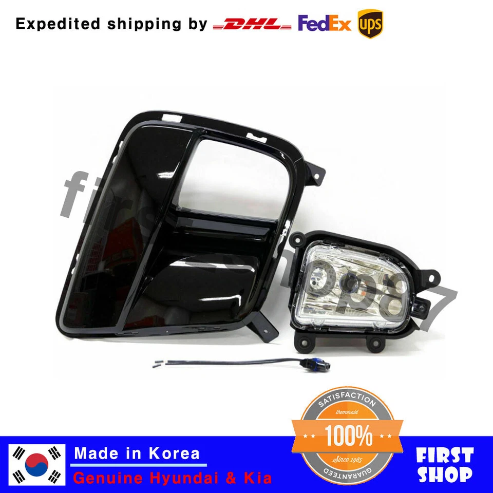 Juego de cableado de cubierta de luz antiniebla izquierda derecha OEM para Kia Forte Koup Cerato 2010-2013 Foto 2 de 4