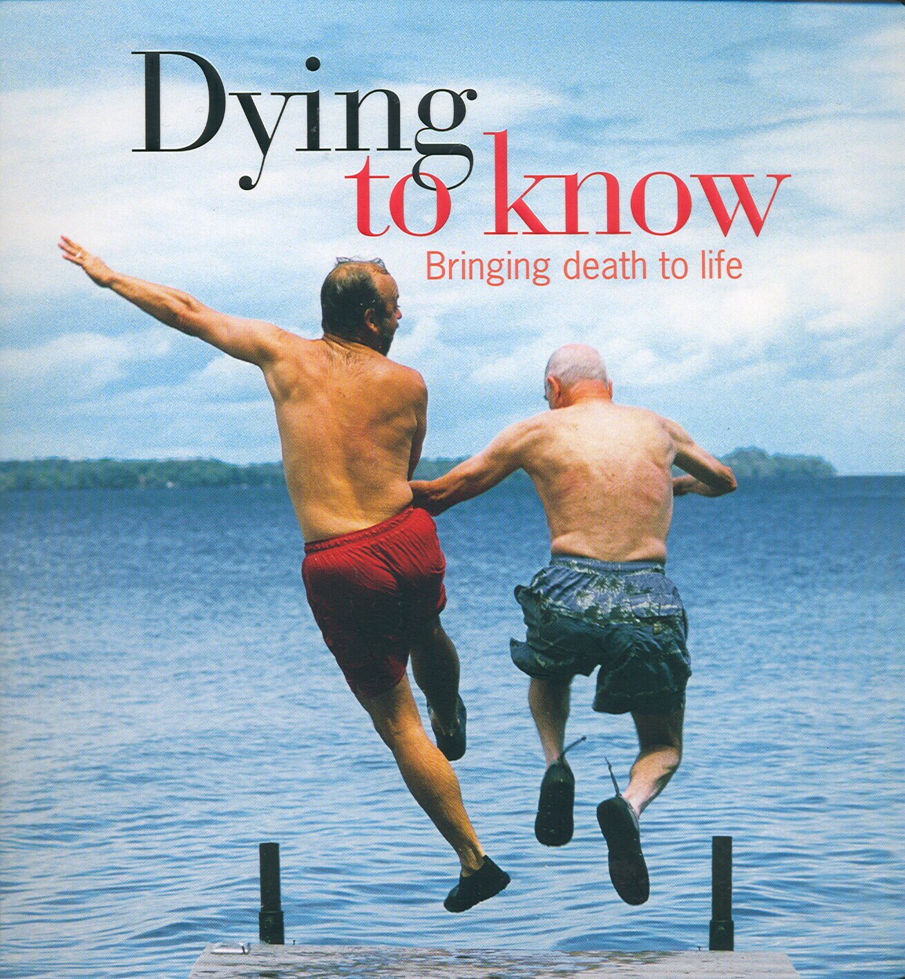Dying to Know: A Guide to Death for Everyone Alive by Andrew Anastasios PB Book