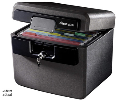SentrySafe HD4100 Fireproof Waterproof Document Safe Box w/ Key Lock Black
