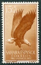 SPANISH SAHARA 1957 15c+5c SG137 MNH FG Child Welfare Fund Tawny eagle ##W49