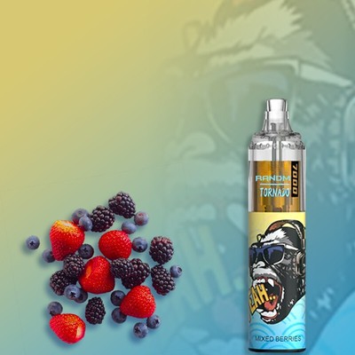 elfbar elfa master akku RandM Tornado 7000 main image 0