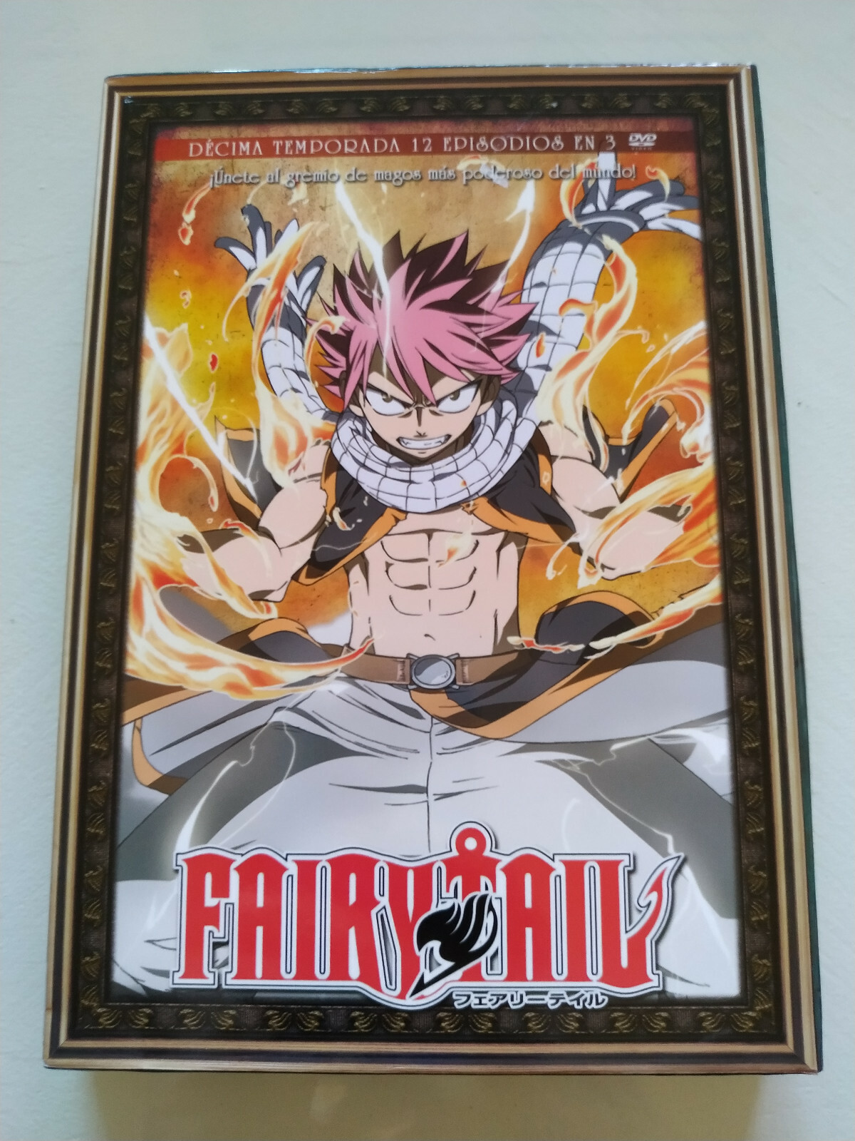 Fairy Tail Season 10 Complete Episodes 109-120 - DVD Spanish Reg 2 3T