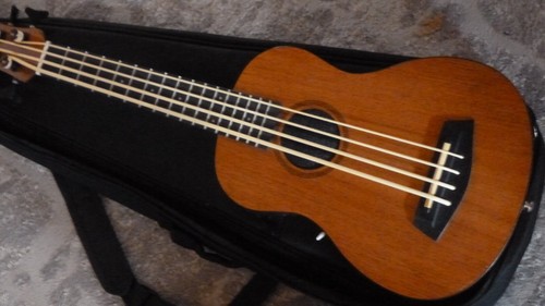 Session - Bass Ukulele mit Amp. & Speaker - Bild 7 von 7