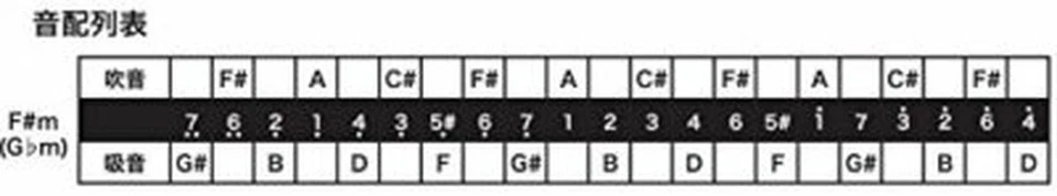 TOMBO dragonfly polyphonic harmonica F#m-tone premium 21 hole 3521 Japan +Track - Image 4 of 4