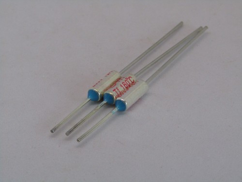 RY Fuse Temperature Thermal 250V 10A 160C 320F Axial 10 amp 160°C 320°F TF 160 - 第 10/22 張圖片
